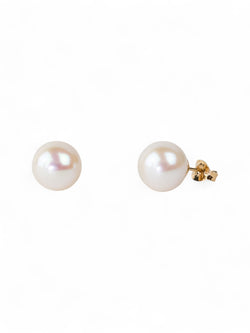 Round Pearl 9ct Yellow Gold Stud Earrings Earrings Pruden and Smith   