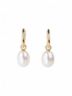 Gold Huggy Pearl Drop Earrings