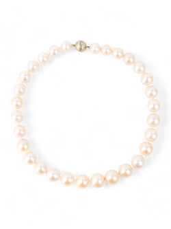 9ct Yellow Gold White Pearl Necklace Necklace Pruden and Smith