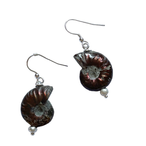 Ammonite Fossil Earrings Earrings Pruden and Smith   