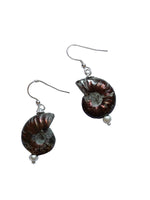 Ammonite Fossil Earrings Earrings Pruden and Smith   