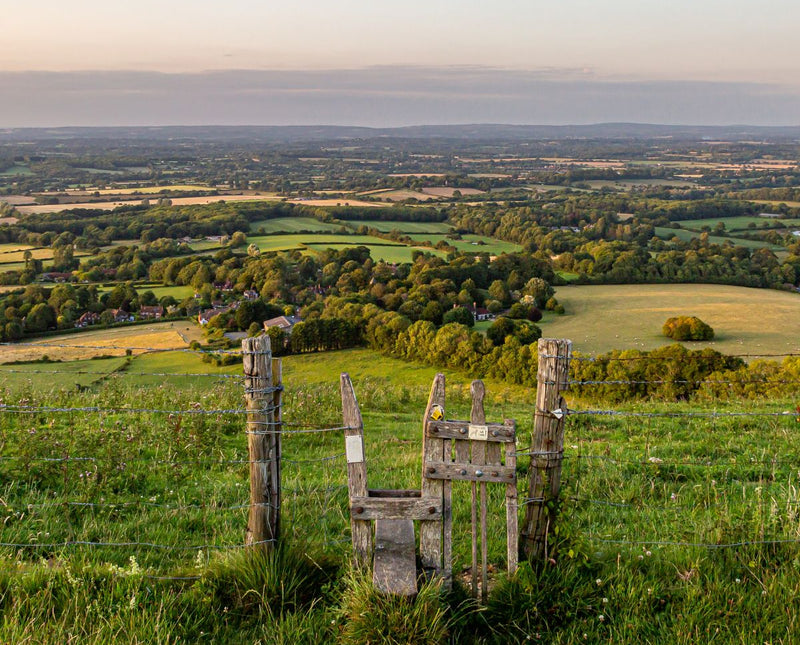 south downs with stile